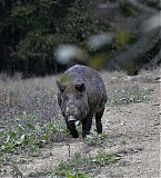 Ime datoteke=_DSC4860.jpg
Velikost datoteke=253KB
Dimenzija=932x1024
Datum objave=02.10.2018 _DSC4860.jpg